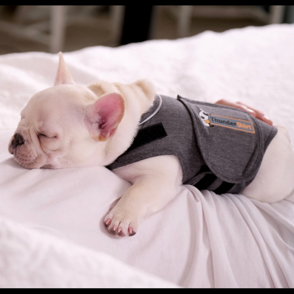 Thundershirt Gray XS Dog Anxiety Shirt